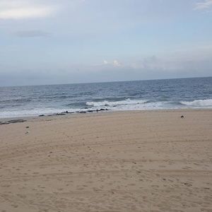 Meet your Posher, Marlene